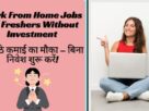 Work From Home Jobs for Freshers Without Investment