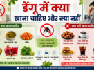 Dengue Mein Kya Khana Chahiye Aur Kya Nahi